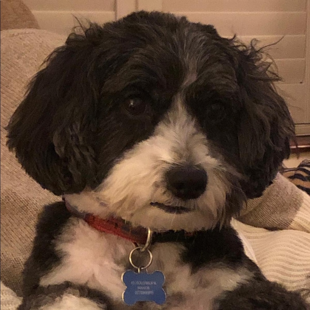 Meet your Posher, Nuala